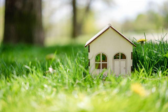 silver spring shores small wooden house model in grass